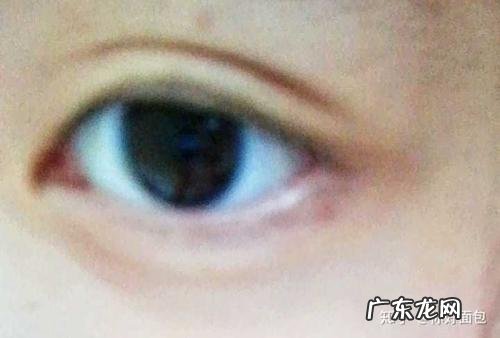 如何描写老师的眼睛 如何描写人的眼睛