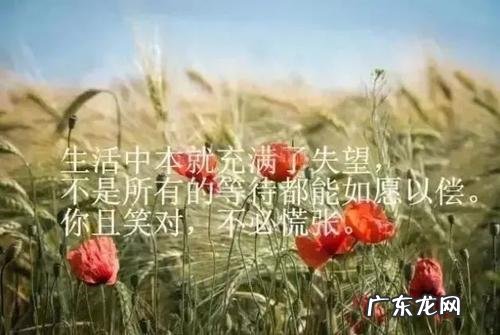 伤感励志说说人生感悟图片 伤感励志说说人生感悟