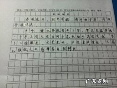 50个精美开头20字 50个精美开头30字