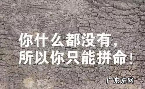 最经典的励志人生语录 最经典的语录