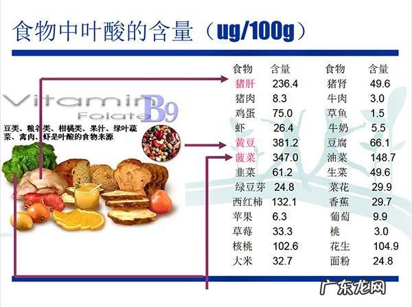 只知道吃吃吃,孕前孕中营养该怎么补?营养专家这样说