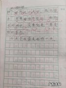 二年级描写夏天的作文五篇 二年级描写夏天的作文