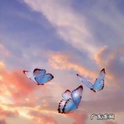 2021个性签名霸气 独一无二霸气个性签名