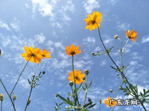 白天的景物描写片段 白天的景物描写