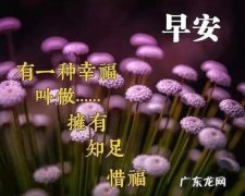 问朋友的早安语 每天给朋友的早安语