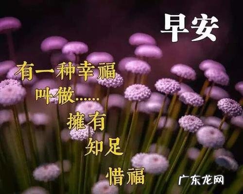 问朋友的早安语 每天给朋友的早安语