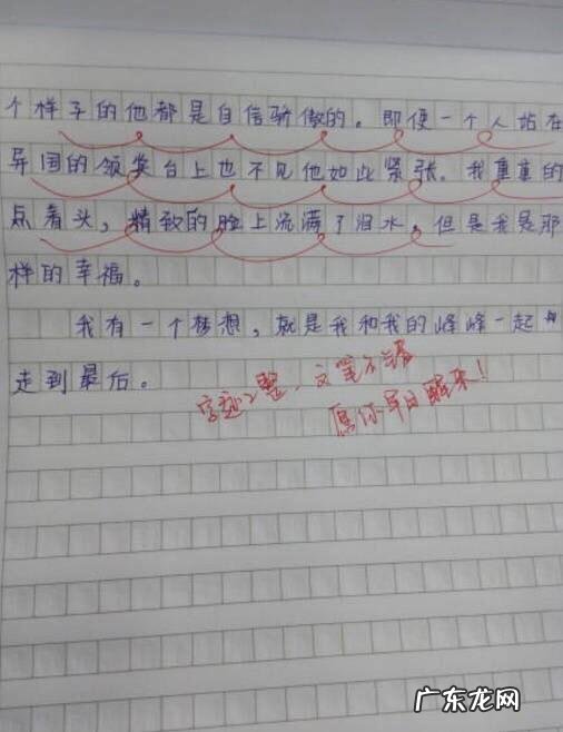 描写眼睛的段落100字 描写眼睛的段落300字