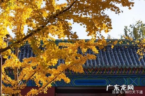 描写金秋景色的词语 金秋十一月的景色描写