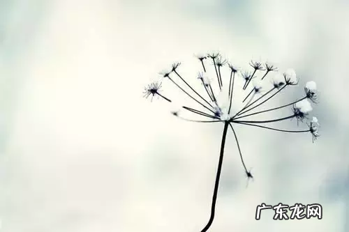 淘宝三项动态评分怎么刷？如何去刷？