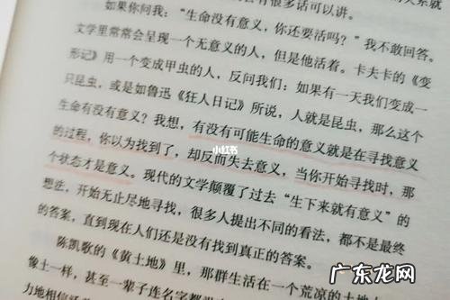 优美段落摘抄赏析大全 孤独优美段落摘抄