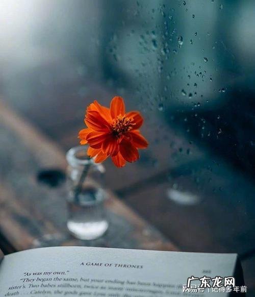 朋友情感语录与感悟语录 扎心语录情感语录大全长