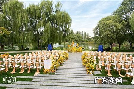 婚礼通知打电话怎么说 婚礼成功应该怎么说