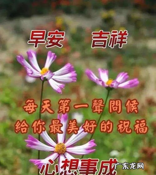 珍惜友情缘分的早安语祝福词 珍惜友情缘分的早安语