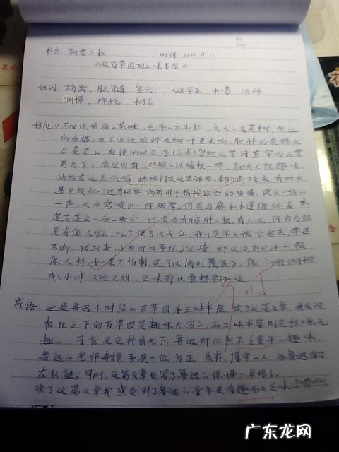 关于时间的段落100字