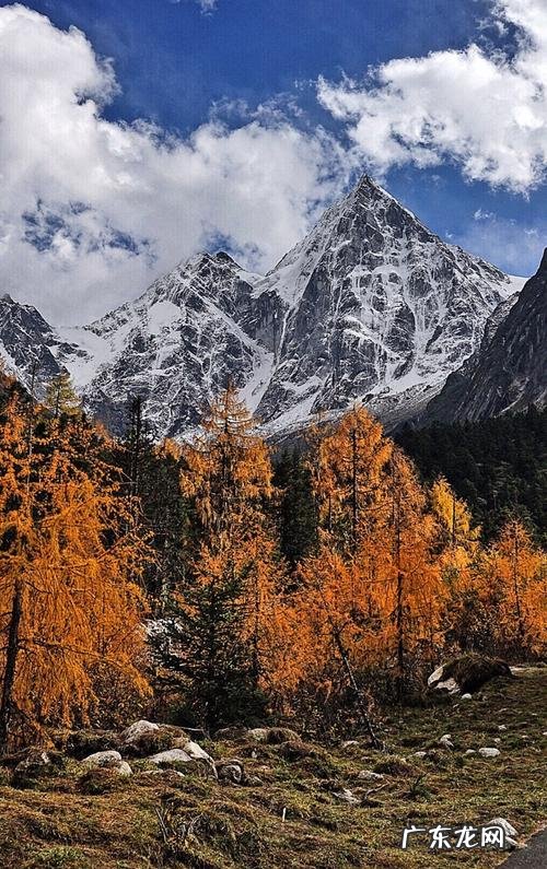 毕棚沟的秋色 毕棚沟秋色美文