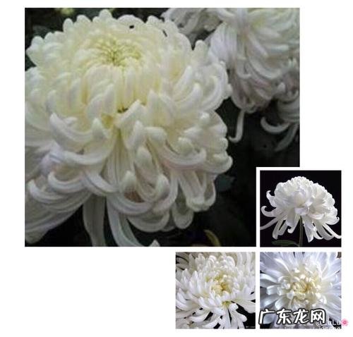 描写思念亲人的优美段落 写亲人去世的优美段落