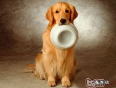 狗粮成分成分大曝光