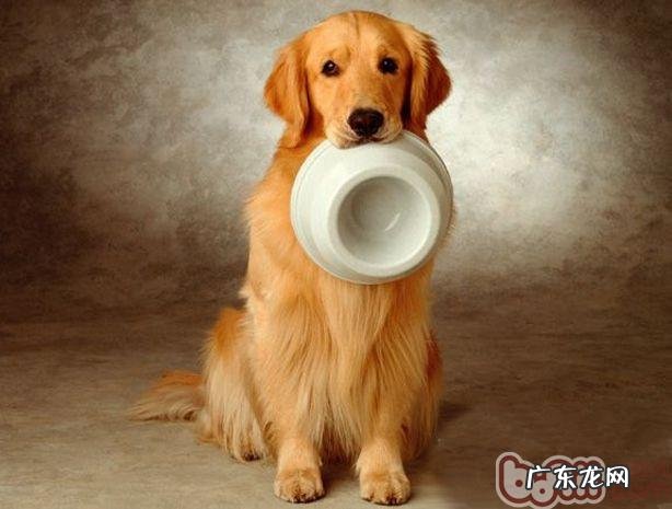 狗粮成分成分大曝光