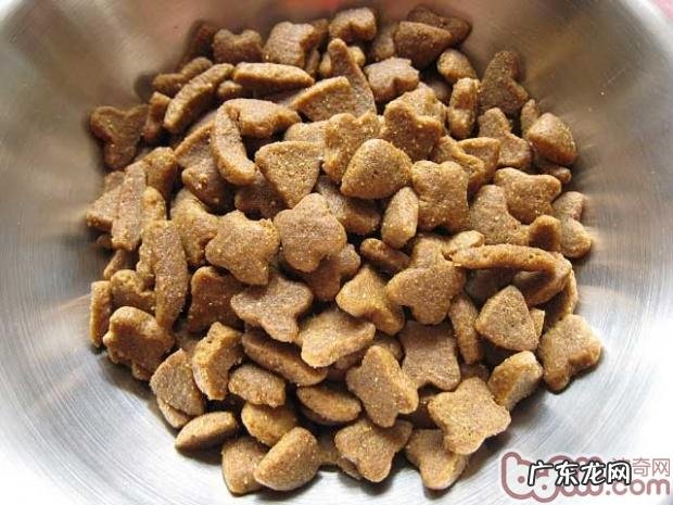 三招教你辨别犬粮质量