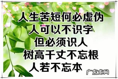 致每天辛苦的自己说说 致每天辛苦的自己