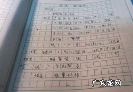 小练笔写风100字左右