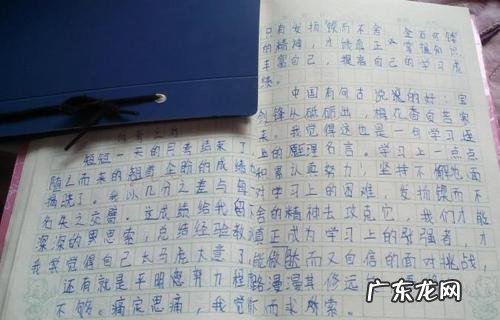 小练笔写风100字左右