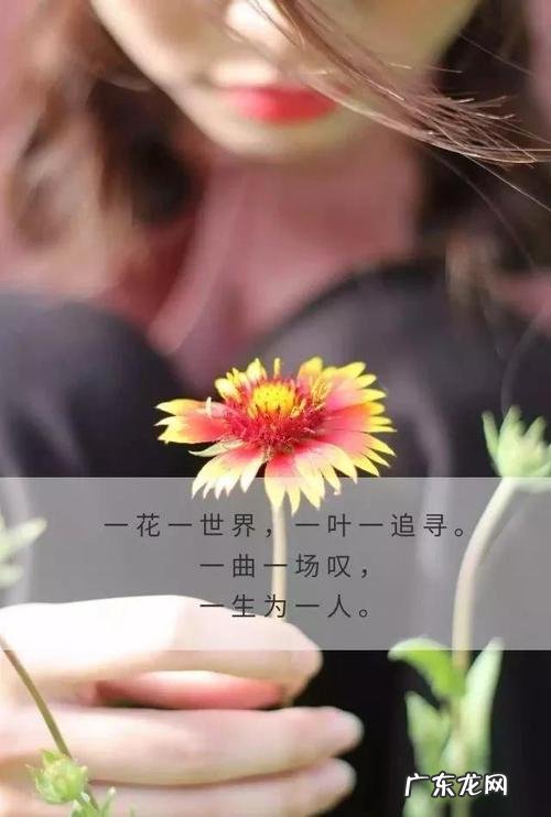 朋友圈旅游心情短语说说 朋友圈旅游心情短语