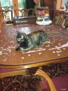 减肥开穴位封穴什么意思 减肥开穴封穴是什么意思？