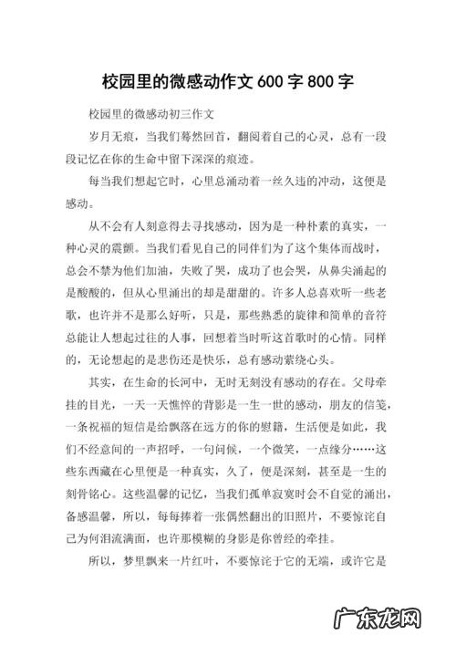 生活中的微感动400字作文 生活中的微感动作文开头