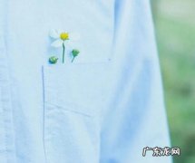 说说各种各样的8个风 风说说各种各样的风