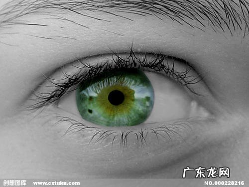 蓝色眼睛外貌描写