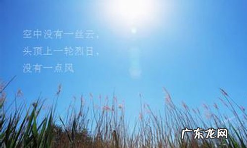 描写狗的唯美散文 描写夏天的唯美散文