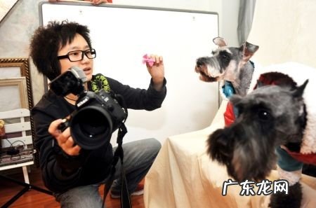 怎么让小狗老老实实相互配合照相