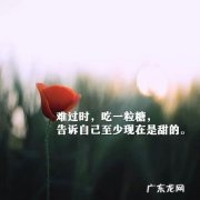 忙的说说适合发朋友圈 最适合发朋友圈的说说感悟人生