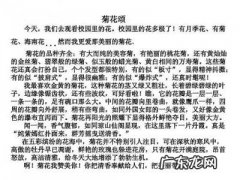 对风的描写200字 对风的描写