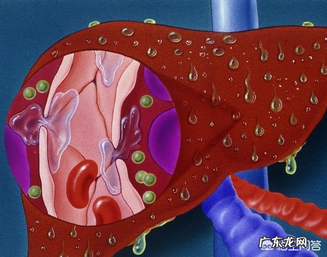 促肝排毒的“冠军”食物是什么
