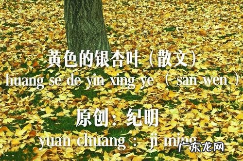 秋天的银杏林散文 深秋的银杏散文