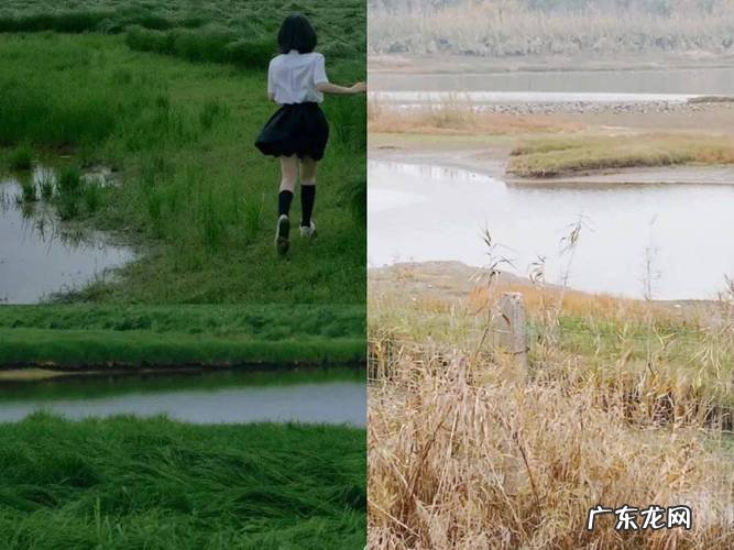 大风吹歌词文案 适合大风吹的文案