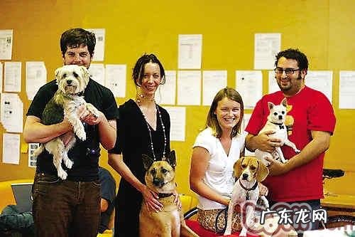 遗愿清单：小狗一生中不能错过了的50件事