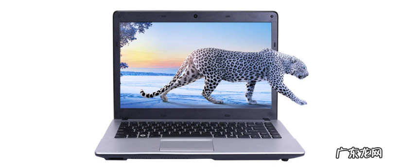 u盘重装win10系统步骤 宝扬电脑一键重装win10系统教程