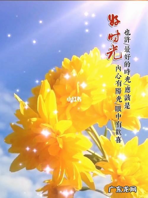 时光易逝人生感悟 时光飞快的人生感悟