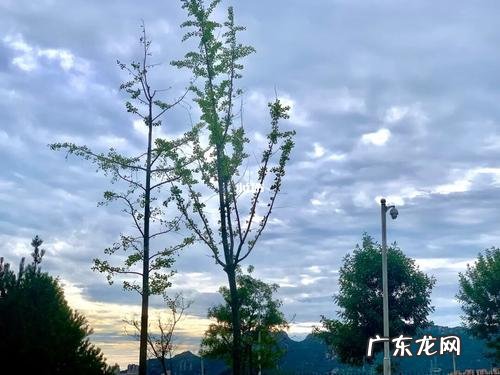 抖音看风景心情文案 关于看风景的抖音文案