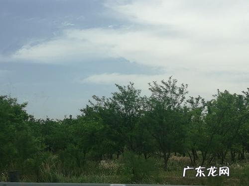 用上顿时忽然描写风 用忽然顿时描写风