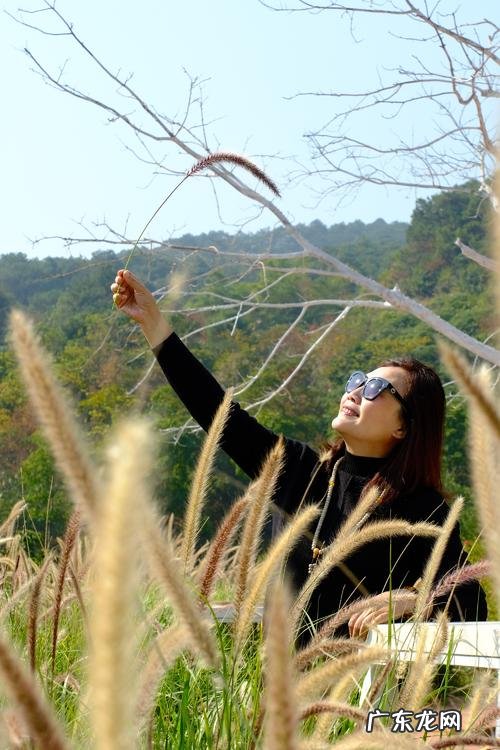 用上顿时忽然描写风 用忽然顿时描写风