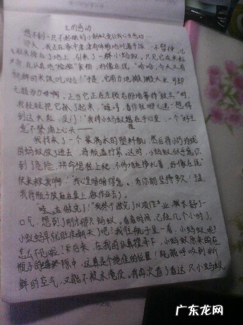 描写桂花的优秀作文 描写风的优秀作文