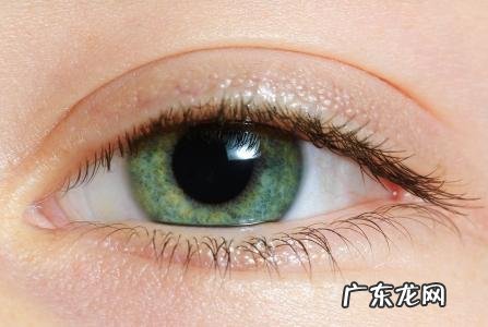 描写人物眼睛的片段150字 描写人物眼睛的片段