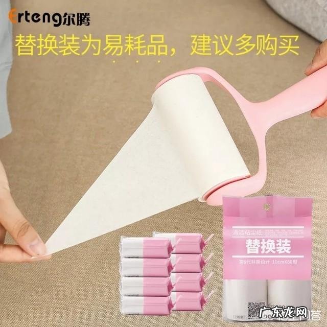 准备养柯基,有什么建议?