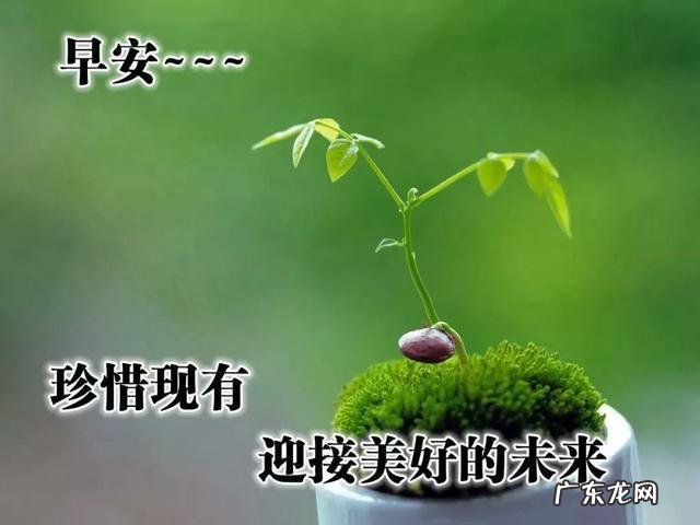 美好一天怎么发朋友圈 美好的清晨怎么发朋友圈