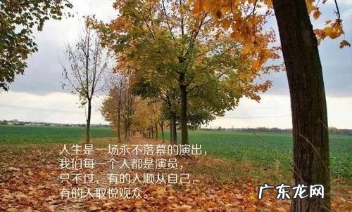 莫言经典语录人生感悟 经典语录孤独人生感悟