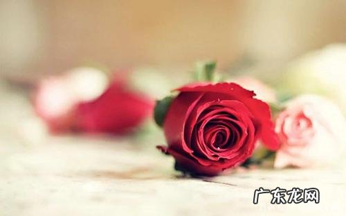 女生唯美说说致自己 唯美说说致自己